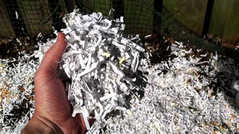 Can You Use Shredded Paper for Compost? And Why Not Turn It Into a Hat?