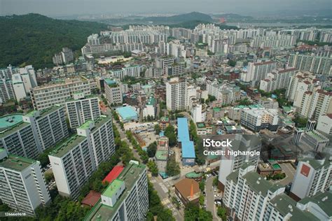 강서구 맛집, 그곳에서 만난 고양이의 비밀