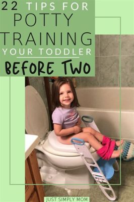 How Often to Set Timer for Potty Training: A Journey Through Time and Toilets